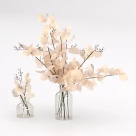 Bouquets of dead wood